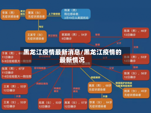 黑龙江疫情最新消息/黑龙江疫情的最新情况