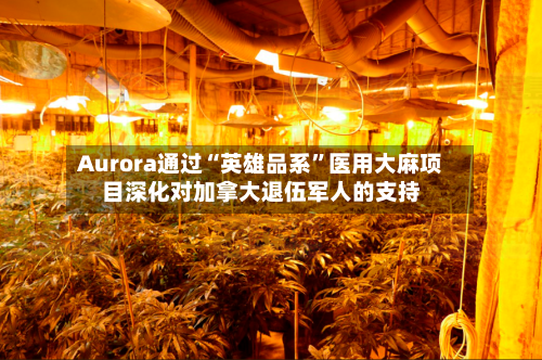 Aurora通过“英雄品系”医用大麻项目深化对加拿大退伍军人的支持