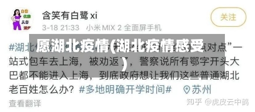 愿湖北疫情(湖北疫情感受)