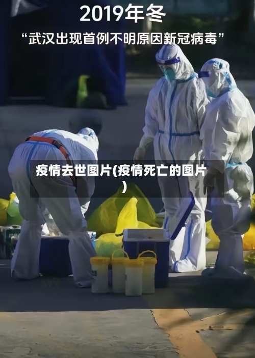 疫情去世图片(疫情死亡的图片)