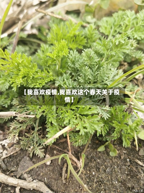 【我喜欢疫情,我喜欢这个春天关于疫情】