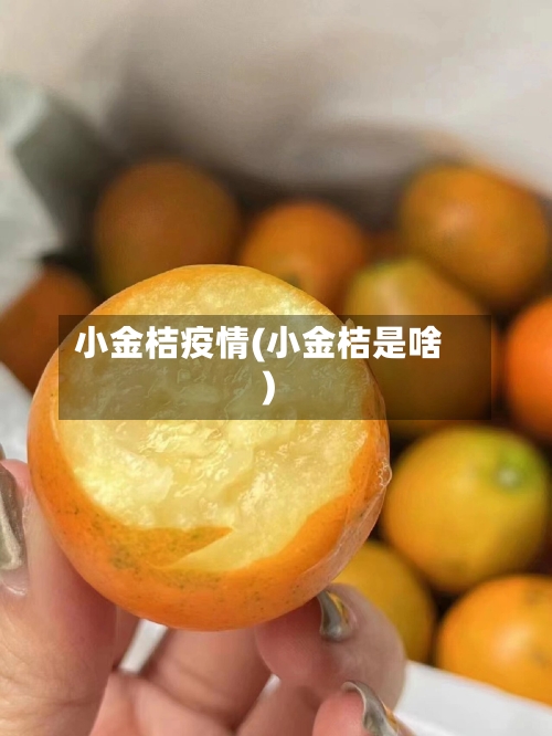 小金桔疫情(小金桔是啥)