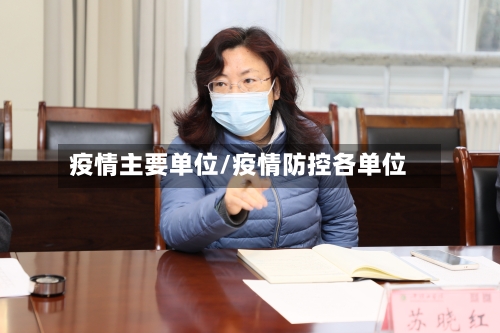 疫情主要单位/疫情防控各单位