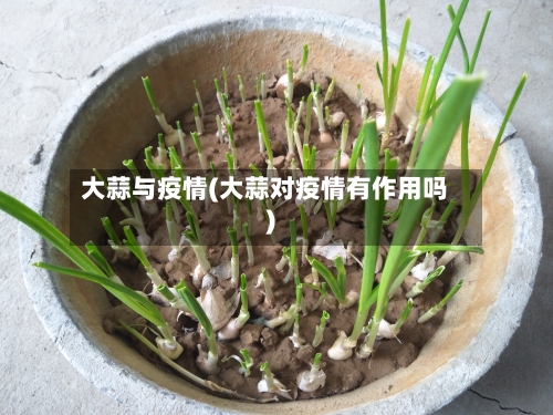 大蒜与疫情(大蒜对疫情有作用吗)
