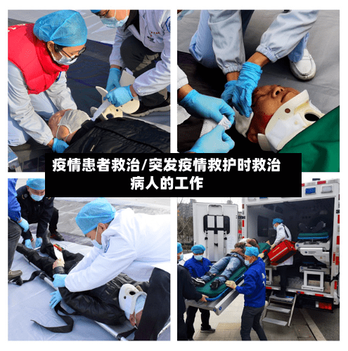 疫情患者救治/突发疫情救护时救治病人的工作