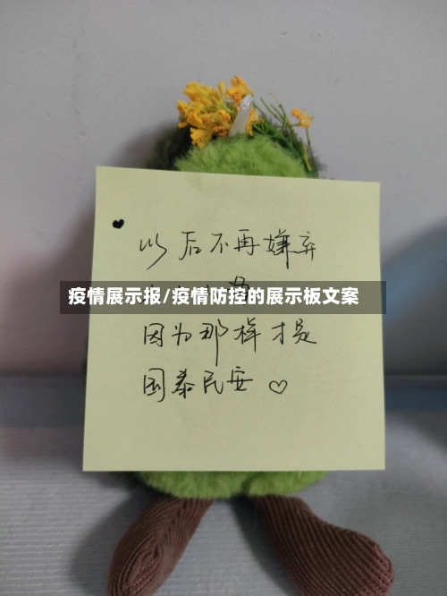 疫情展示报/疫情防控的展示板文案