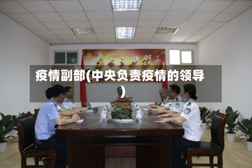 疫情副部(中央负责疫情的领导)