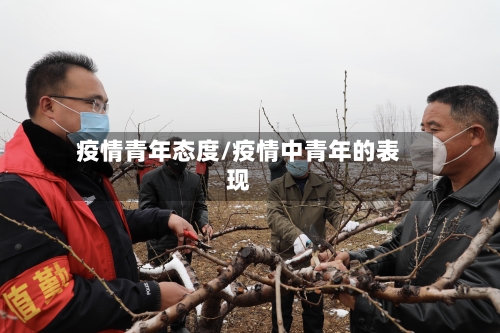 疫情青年态度/疫情中青年的表现