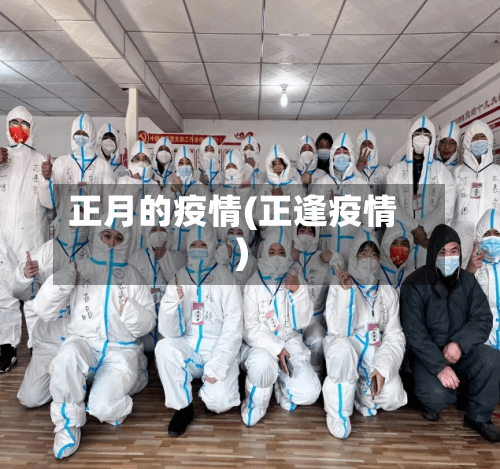 正月的疫情(正逢疫情)
