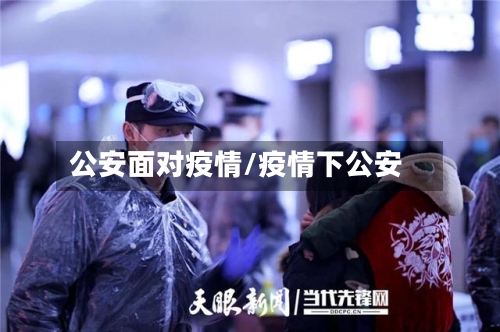 公安面对疫情/疫情下公安