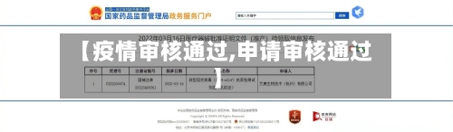 【疫情审核通过,申请审核通过】