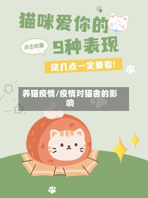养猫疫情/疫情对猫舍的影响