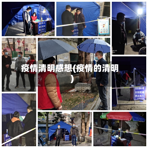 疫情清明感想(疫情的清明)