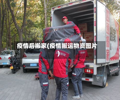 疫情后搬家(疫情搬运物资图片)