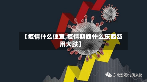 【疫情什么便宜,疫情期间什么东西费用大跌】