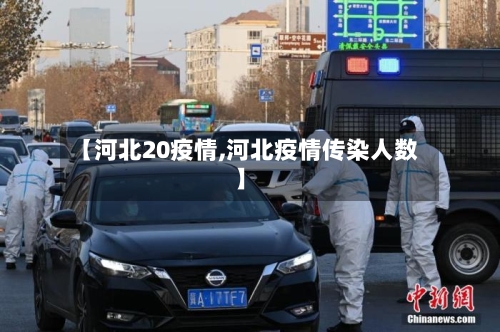 【河北20疫情,河北疫情传染人数】