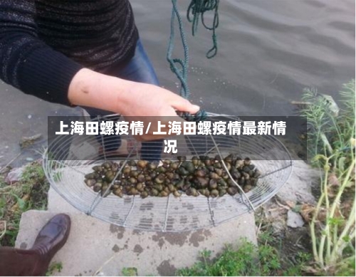 上海田螺疫情/上海田螺疫情最新情况