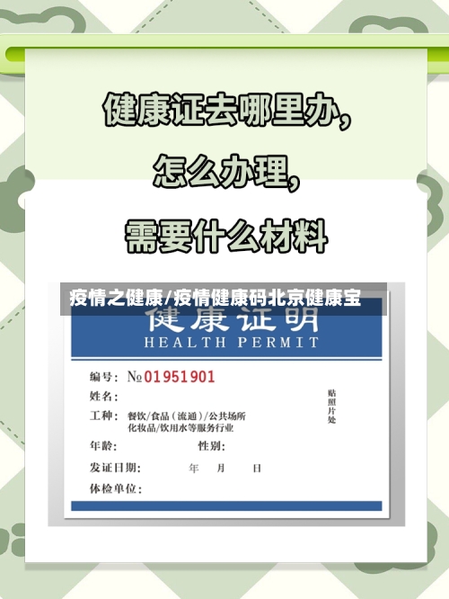 疫情之健康/疫情健康码北京健康宝
