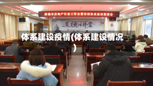 体系建设疫情(体系建设情况)