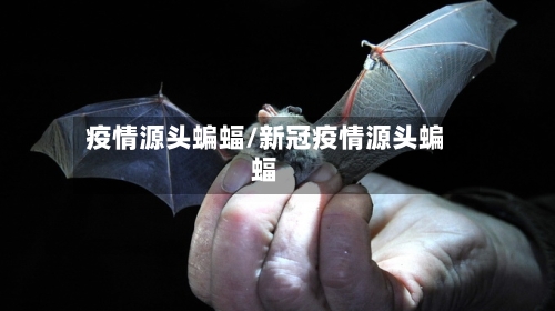 疫情源头蝙蝠/新冠疫情源头蝙蝠