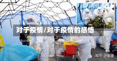 对于疫情/对于疫情的感悟
