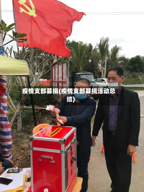 疫情支部募捐(疫情支部募捐活动总结)
