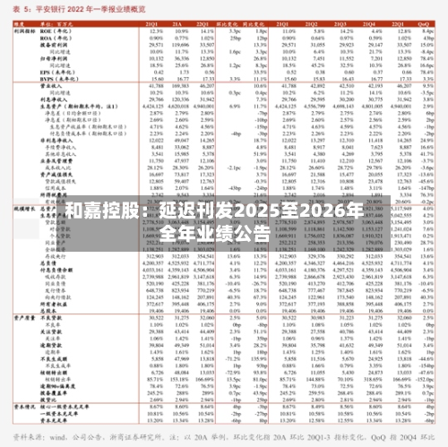 和嘉控股:延迟刊发2025至2026年全年业绩公告