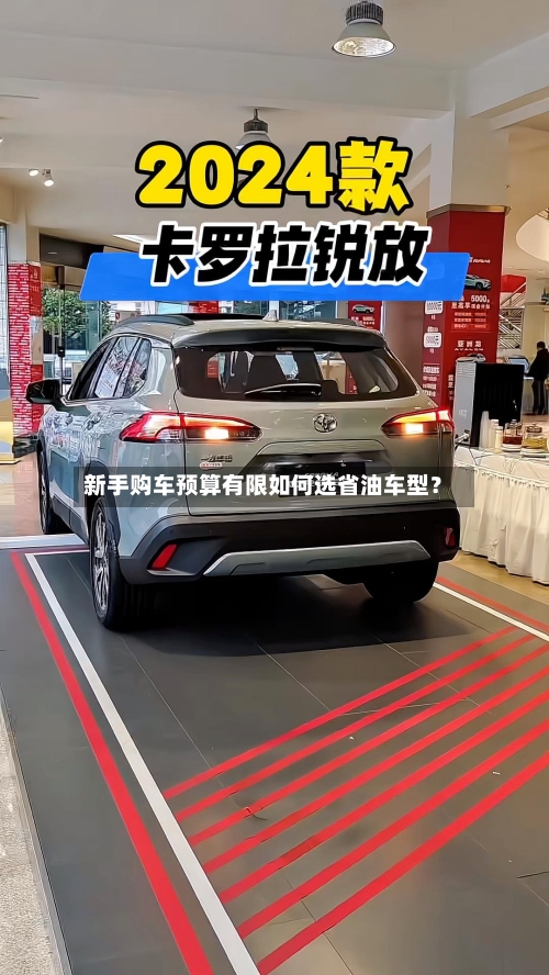 新手购车预算有限如何选省油车型?
