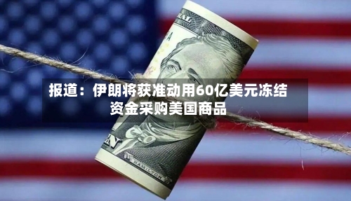 报道:伊朗将获准动用60亿美元冻结资金采购美国商品