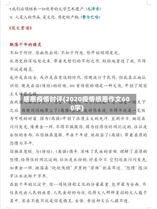 感恩疫情时评(2020疫情感恩作文600字)