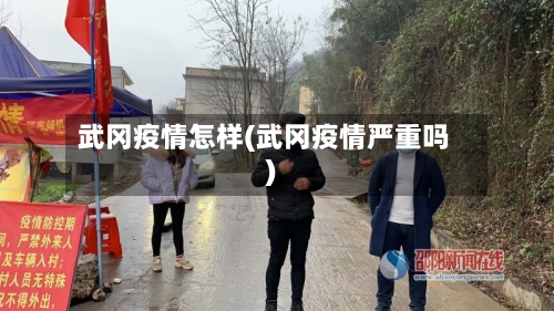 武冈疫情怎样(武冈疫情严重吗)