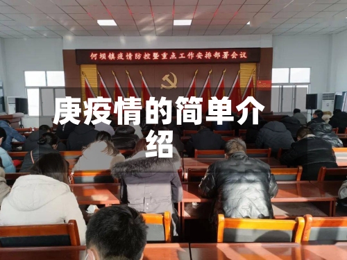 庚疫情的简单介绍