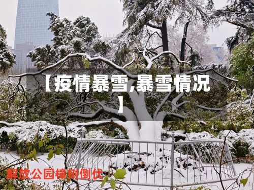 【疫情暴雪,暴雪情况】