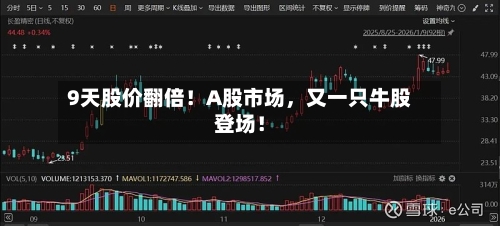 9天股价翻倍!A股市场,又一只牛股登场!