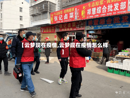 【云梦现在疫情,云梦现在疫情怎么样】