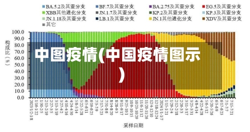 中图疫情(中国疫情图示)