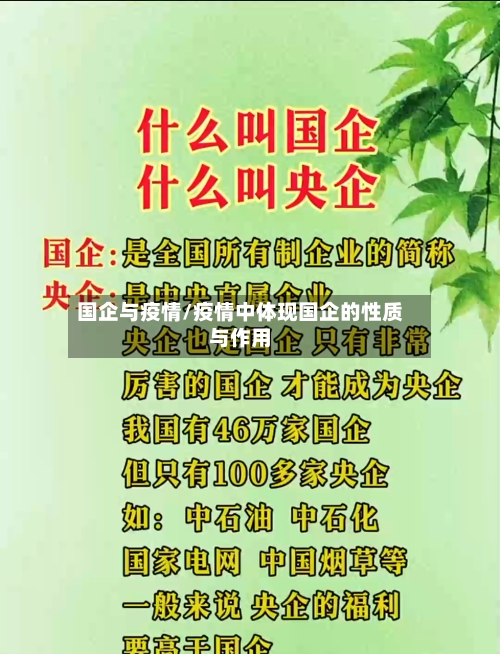 国企与疫情/疫情中体现国企的性质与作用