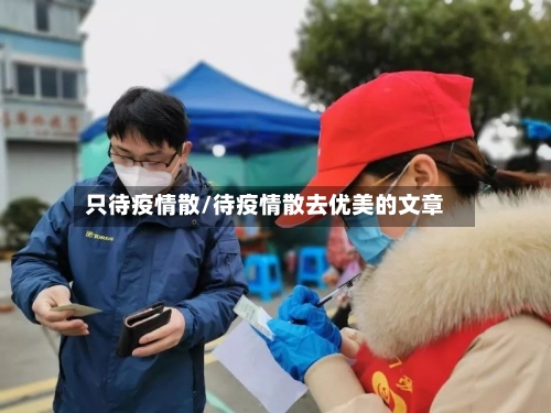 只待疫情散/待疫情散去优美的文章