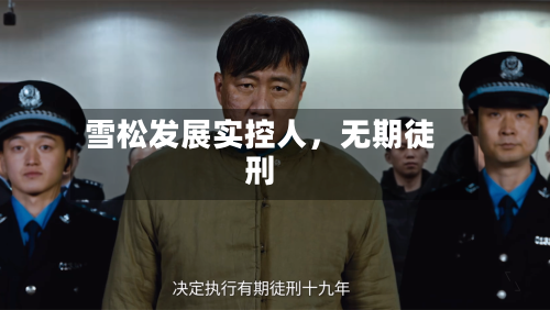 雪松发展实控人，无期徒刑