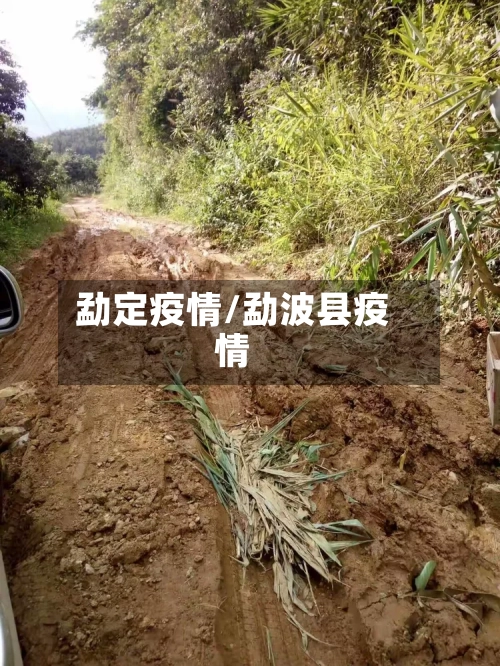 勐定疫情/勐波县疫情