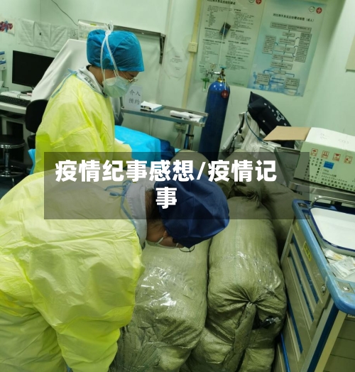 疫情纪事感想/疫情记事