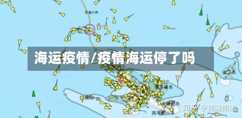 海运疫情/疫情海运停了吗