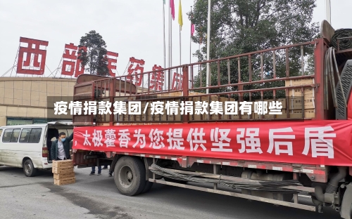 疫情捐款集团/疫情捐款集团有哪些