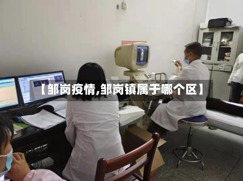 【邹岗疫情,邹岗镇属于哪个区】