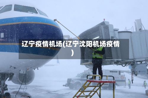 辽宁疫情机场(辽宁沈阳机场疫情)