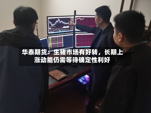 华泰期货：生猪市场有好转，长期上涨动能仍需等待确定性利好