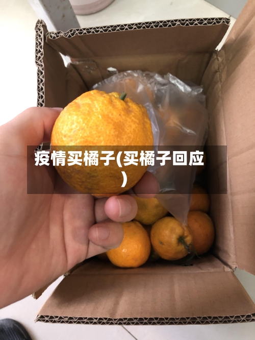 疫情买橘子(买橘子回应)