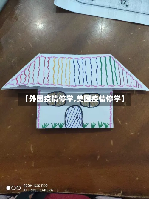 【外国疫情停学,美国疫情停学】