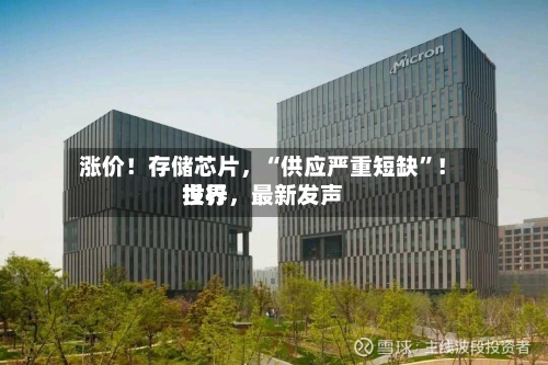 涨价！存储芯片，“供应严重短缺”！世界投行，最新发声