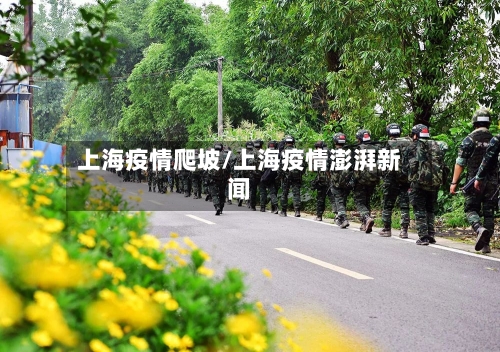 上海疫情爬坡/上海疫情澎湃新闻